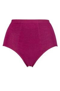 Ladies 1 Pack Love Luna Period Full Briefs